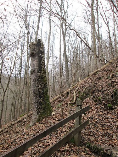 Michele Wallace
