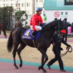Makoto Yamazaki