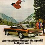 Wayne Wong (skier)