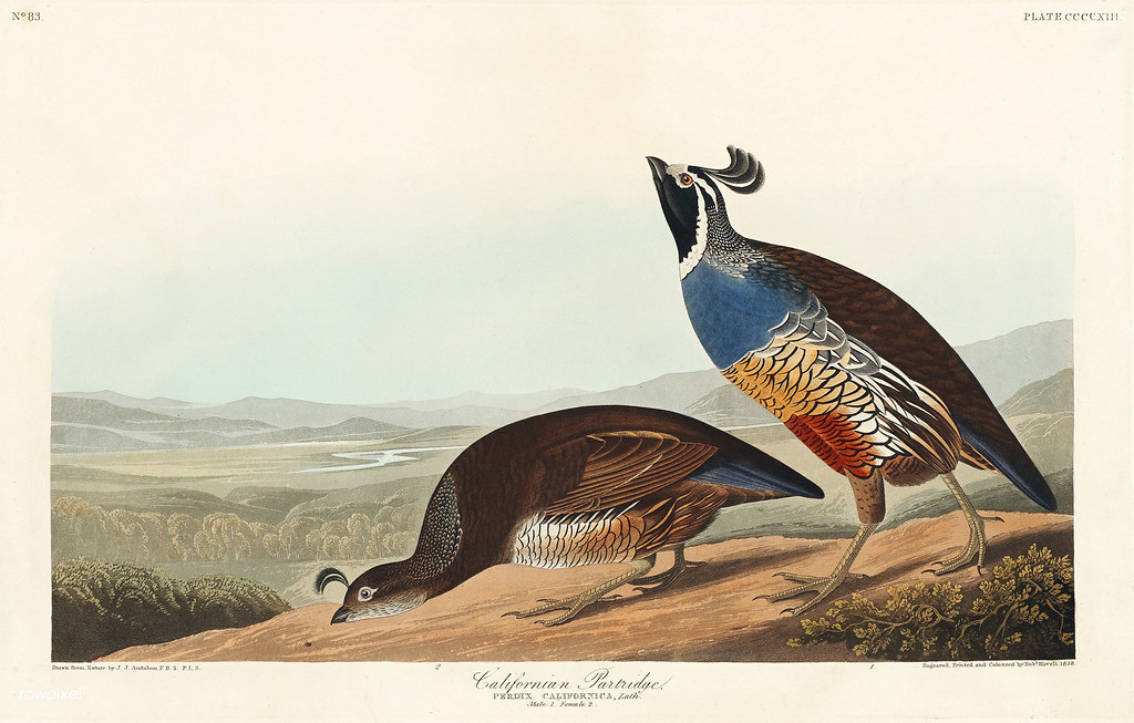 James Partridge