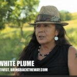 Debra White Plume