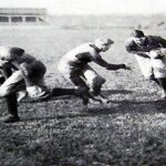 Lyndon Sheehan