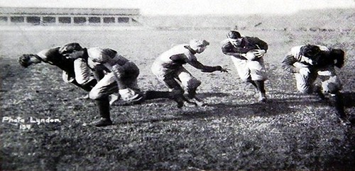 Lyndon Sheehan