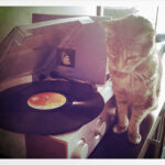 Phoebe Snow