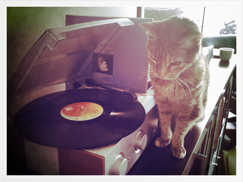 Phoebe Snow