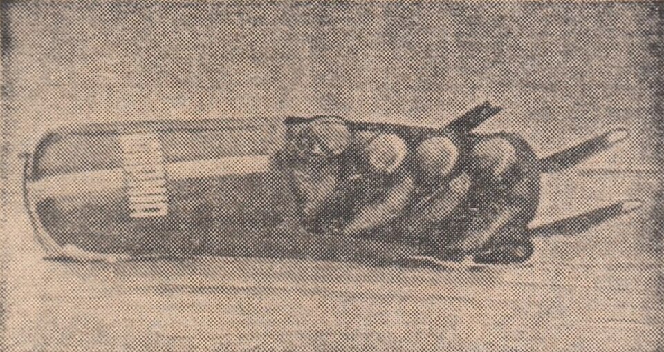 Ion Duminicel