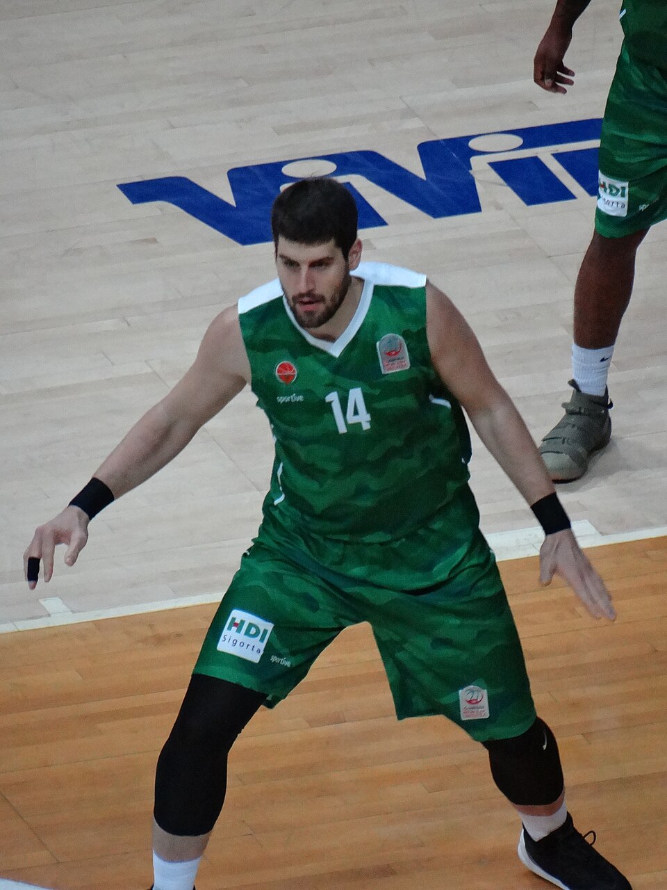 Đorđe Gagić