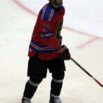 Damien Fleury