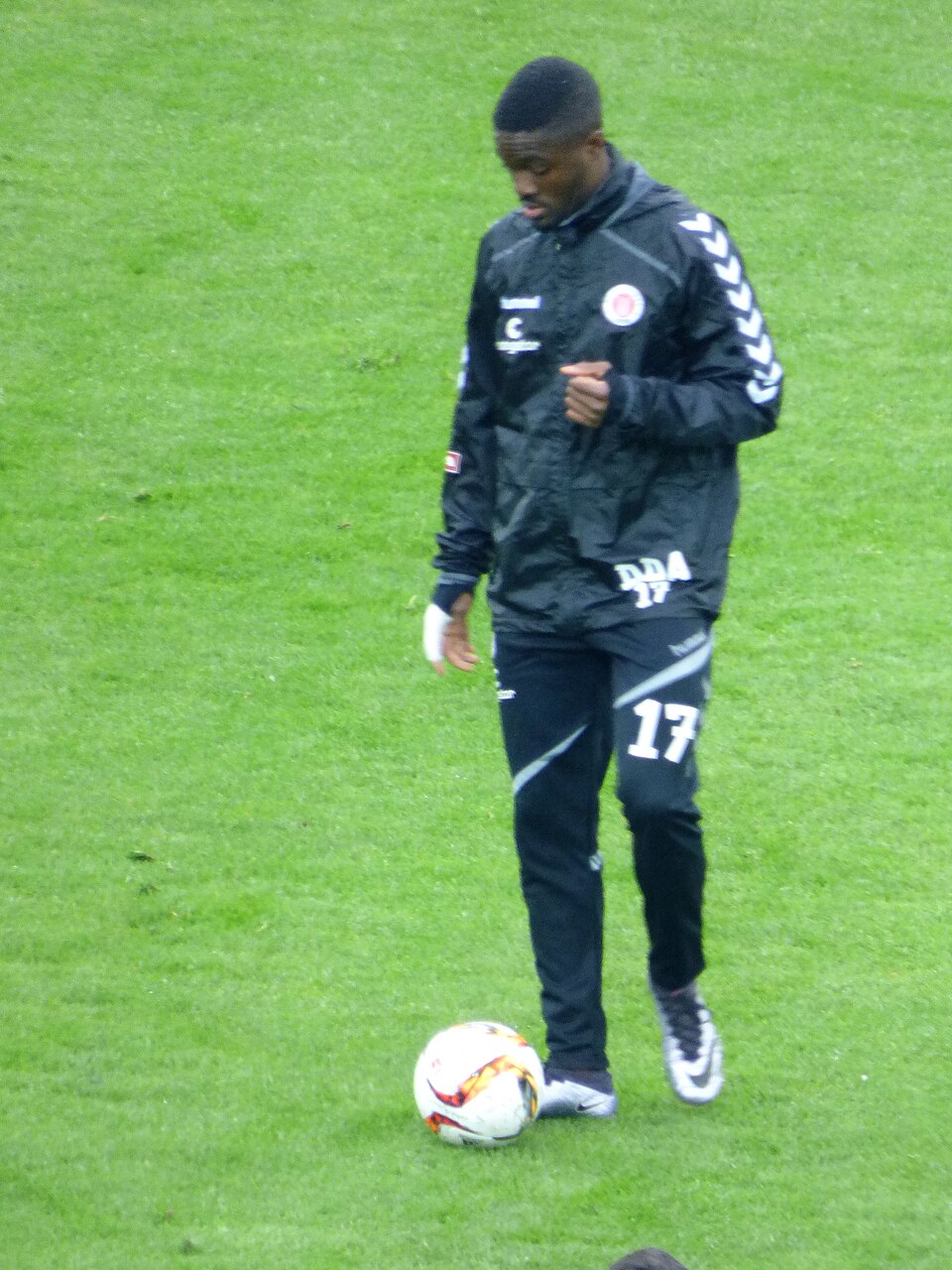 Davidson Eden