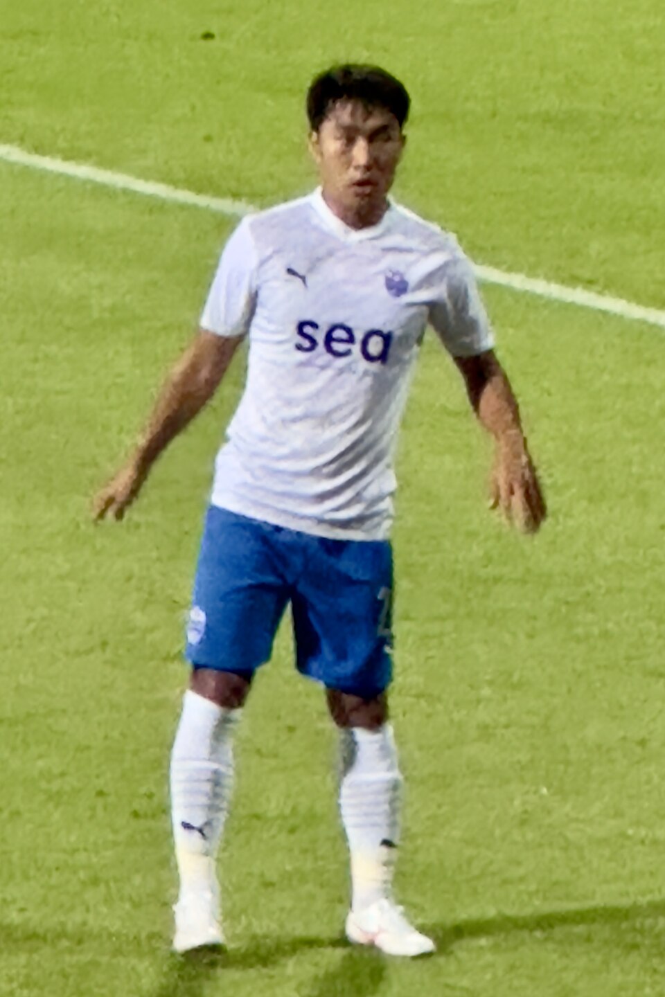 Song In-young