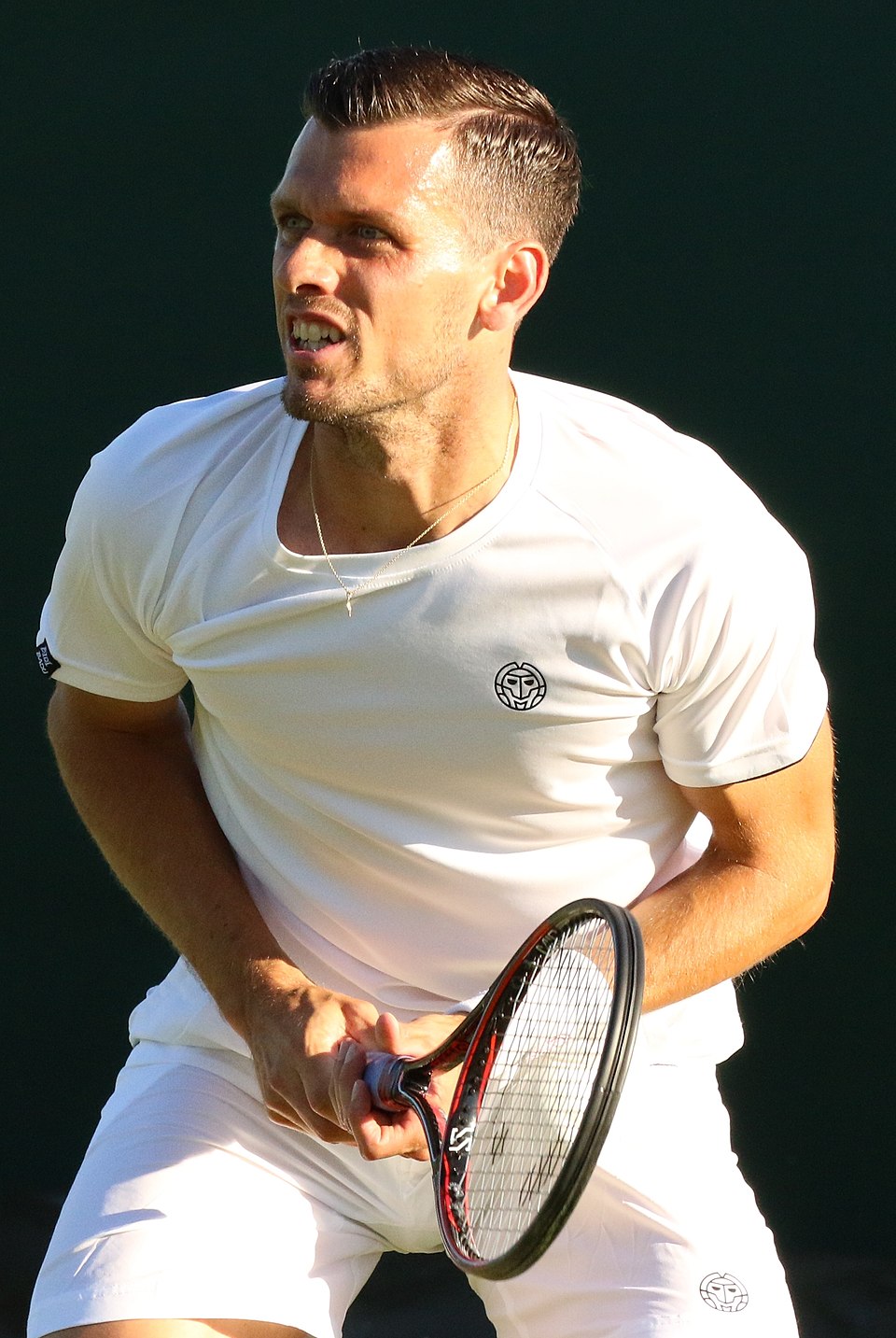 Tobias Kamke