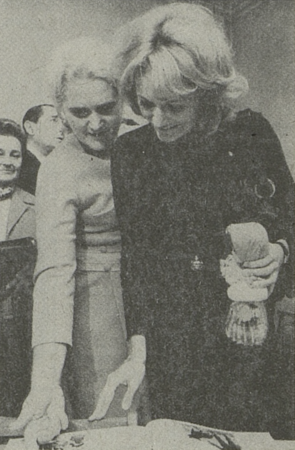 Vesna Vulović