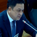 Aaly Karashev