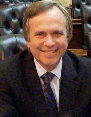 Dana Stein