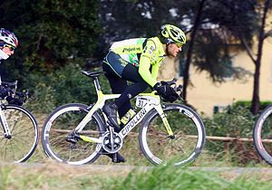 Davide Ricci Bitti