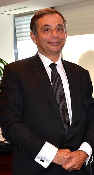 Henri Malosse