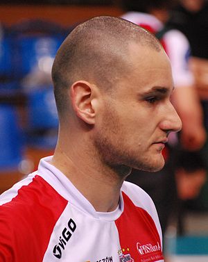 Ivan Ilić (volleyball)