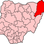 Maina Maaji Lawan