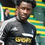 Wilfried Bony