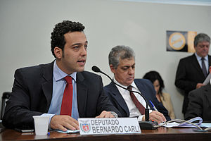 Bernardo Ribas Carli