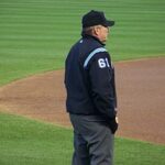 Bob Davidson (umpire)