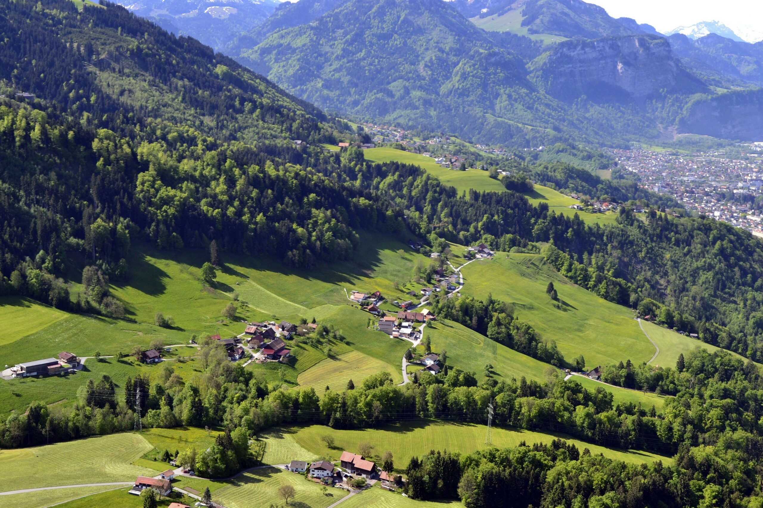 Kalben