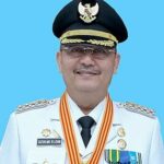 Dzulmi Eldin