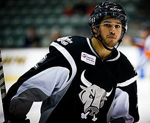 Jared Gomes (ice hockey)