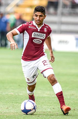 Juan Bustos (footballer)