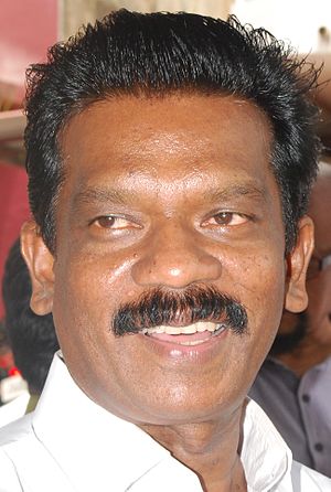 K. Radhakrishnan (politician)