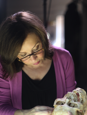 Karen T. Taylor