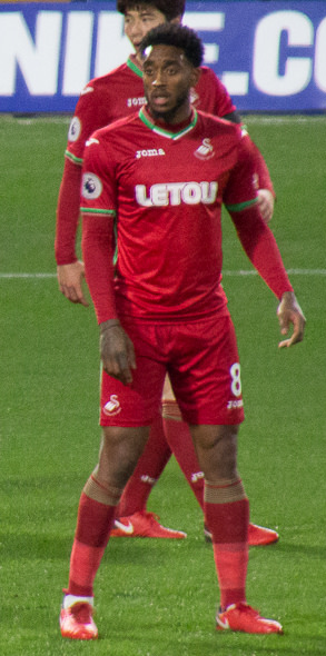 Leroy Fer