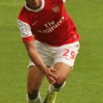 Marouane Chamakh