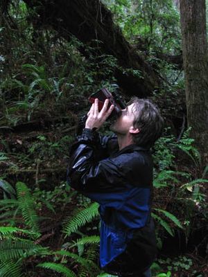 Michael Taylor (forester)