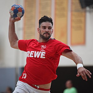 Nenad Vučković (handballer)