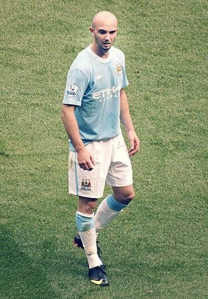 Stephen Ireland