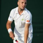 Steve Darcis