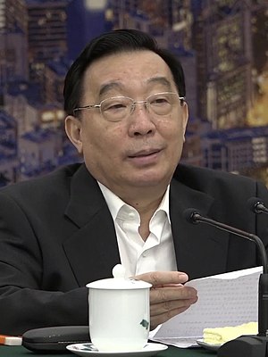 Wang Chen (politician)