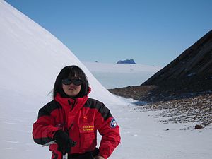 Wei Lijie (scientist)