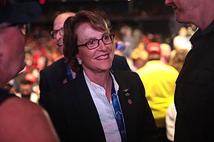 Wendy Rogers (politician)