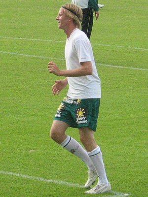 Wilhelm Ingves