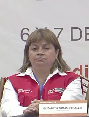 Zulema Tomás