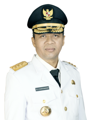 Zulkieflimansyah