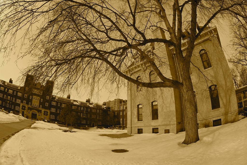 Willis Hall