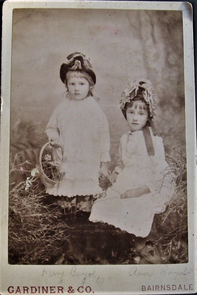 Anne Boyd
