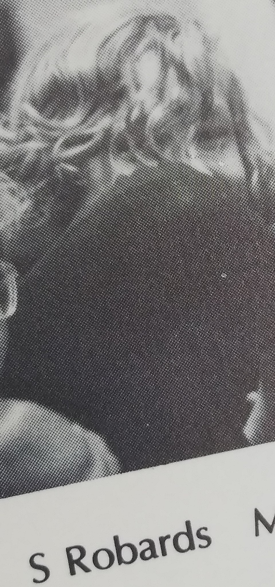 Sam Robards