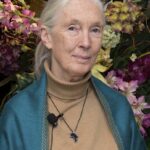 Jane Goodall