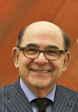 Joel Shapiro