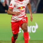 Tyler Adams