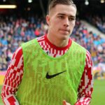 Luka Sučić